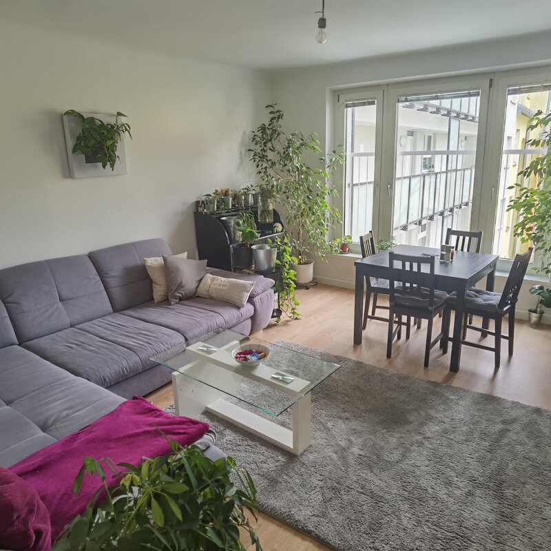 Wohnzimmer mit 20m2, Schlafcouch mit Platz für bis zu 2 zusätzliche Personen, ausziehbarer Esstisch (bis zu 6 Personen), Französischer Balkon mit Ausblich, am Nachmittag sonnig (da Richtung Westen) | © Holzer