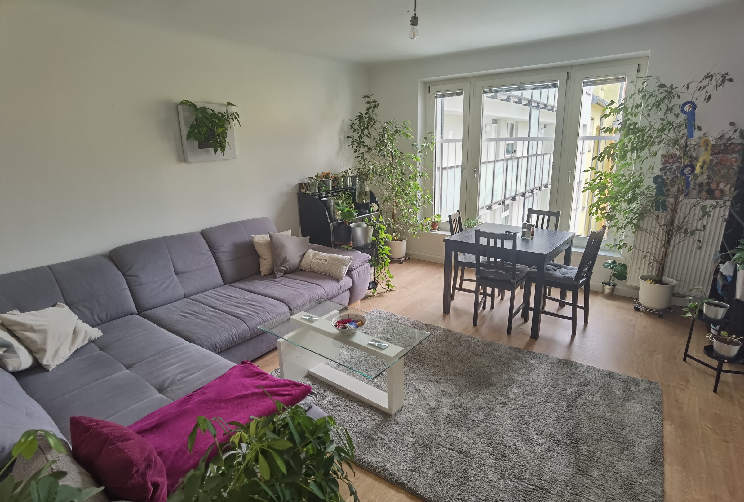 Wohnzimmer mit 20m2, Schlafcouch mit Platz für bis zu 2 zusätzliche Personen, ausziehbarer Esstisch (bis zu 6 Personen), Französischer Balkon mit Ausblich, am Nachmittag sonnig (da Richtung Westen) | © Holzer