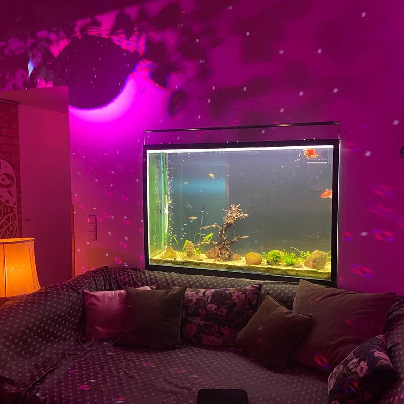 Aquarium