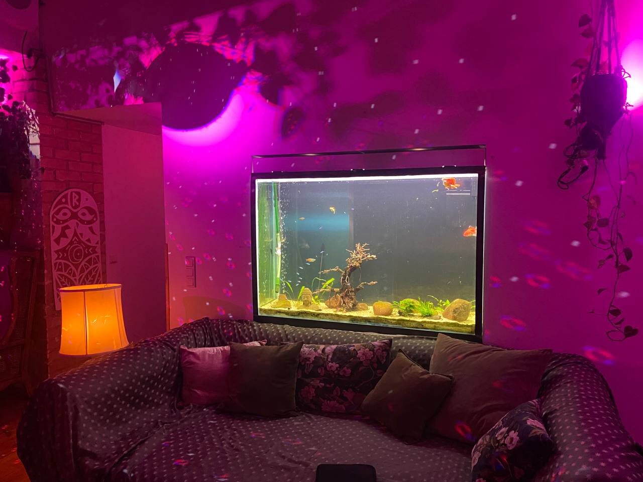 Aquarium