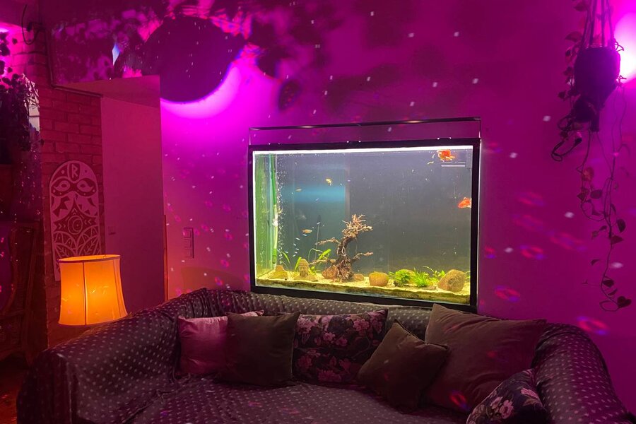 Aquarium