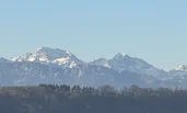 Alpine View