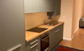 Modern, fully-equipped kitchen