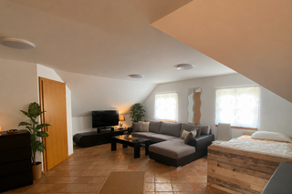 Bright 1-room apartment with sleeping & living area – short-term rental & temporary housing for 1 to 6 months in Ansfelden