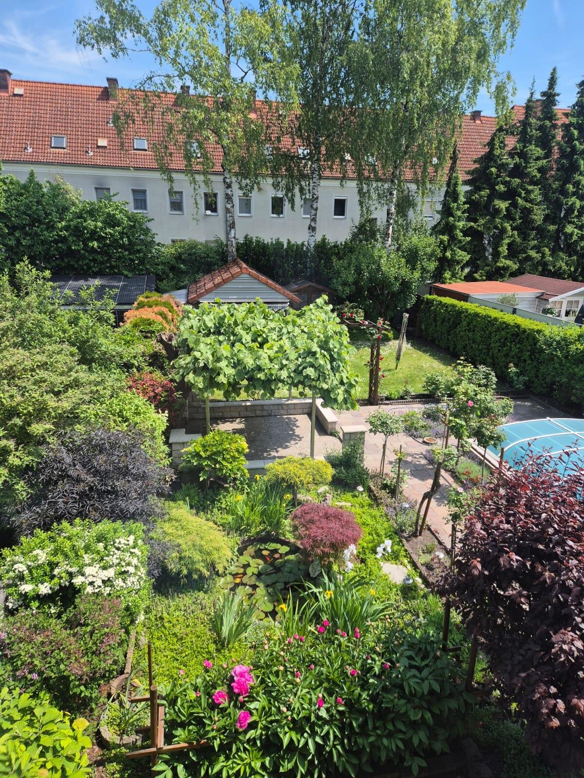 Blick in den Garten
