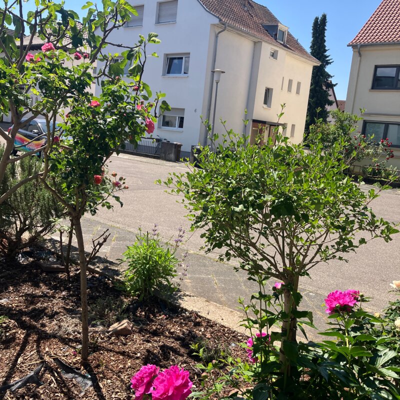 Vorplatz