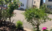 Vorplatz