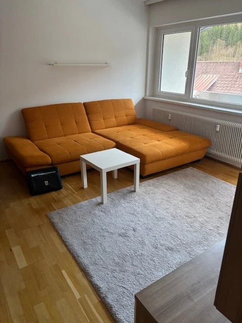 Wohnzimmer mit ausziehbarer Couch