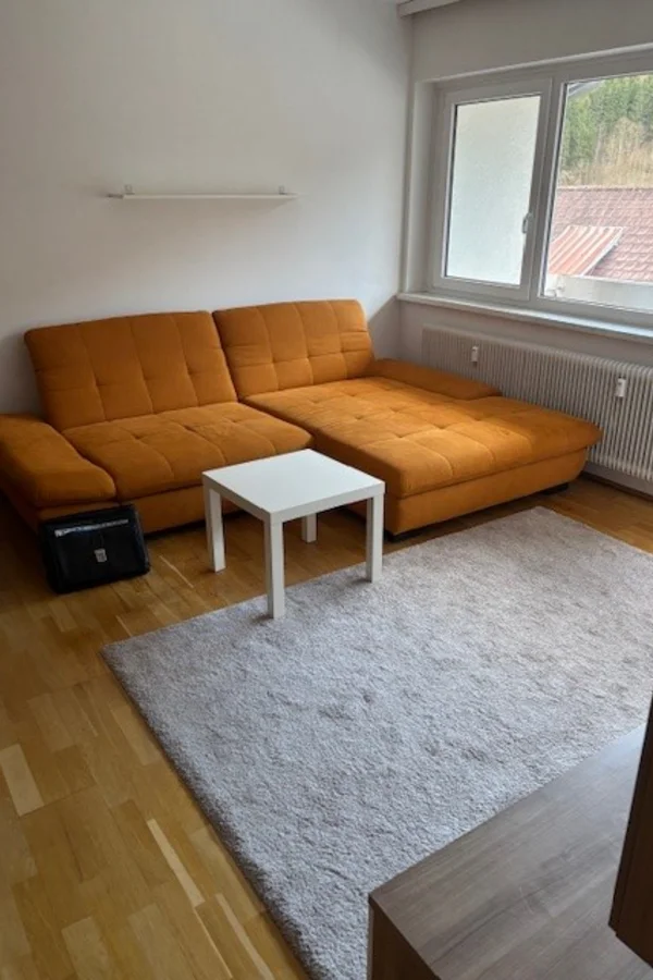 Wohnzimmer mit ausziehbarer Couch