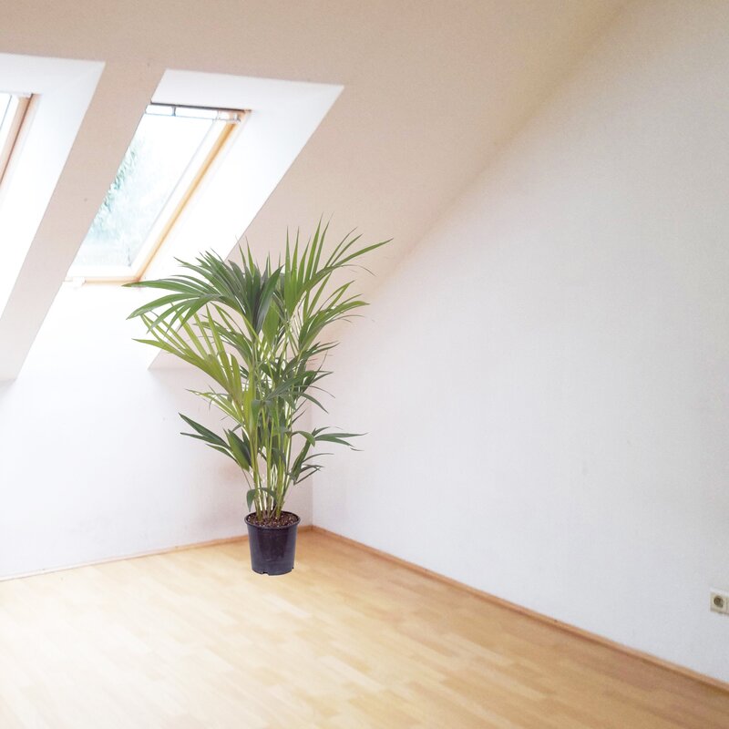 Bright attic room with parquet floor – 2-room apartment for short-term rental & temporary housing for 1 to 6 months in Graz