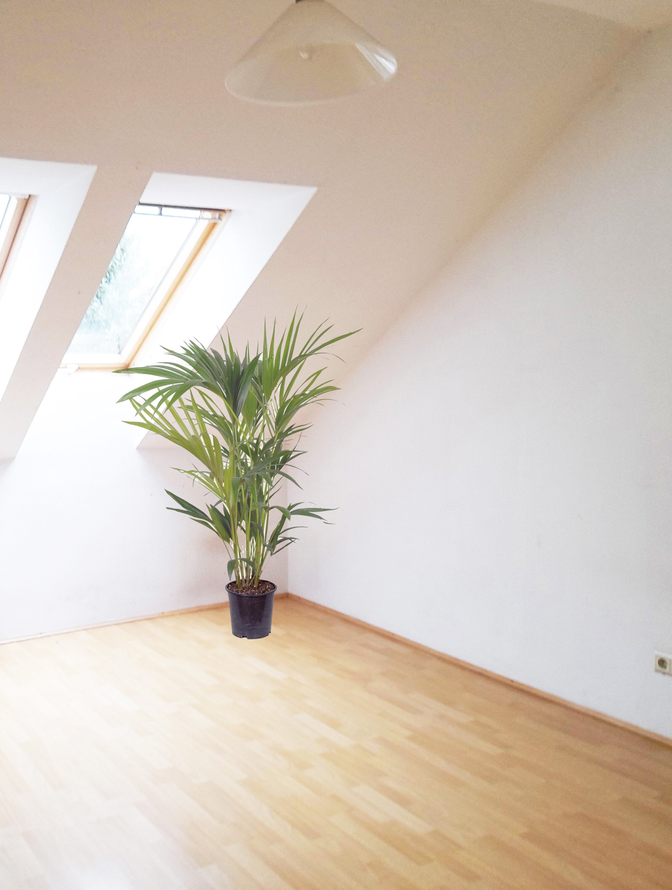 Bright attic room with parquet floor – 2-room apartment for short-term rental & temporary housing for 1 to 6 months in Graz