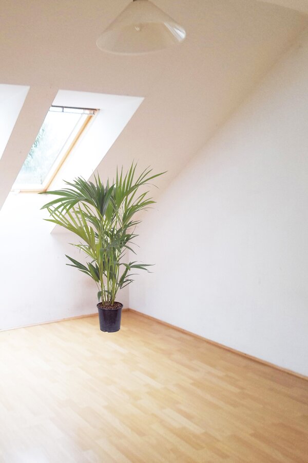Bright attic room with parquet floor – 2-room apartment for short-term rental & temporary housing for 1 to 6 months in Graz