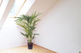 bright living room