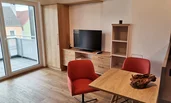 Living/sleeping room