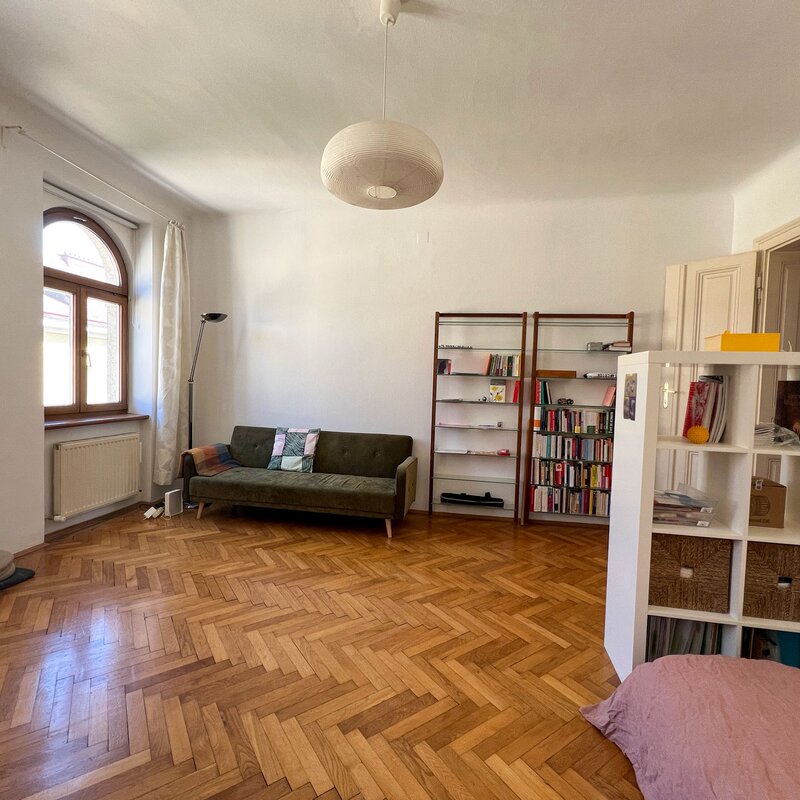 Living room/bedroom with sofa and bookshelves | © A.S.