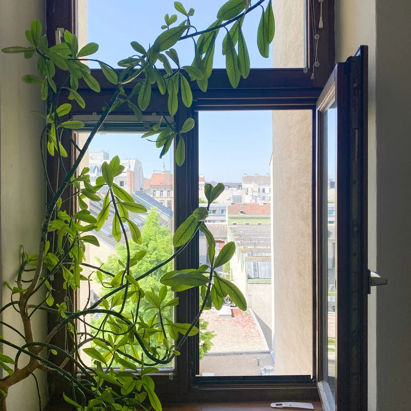 Sonniger Eingangsbereich mit Ausblick | © A.S.