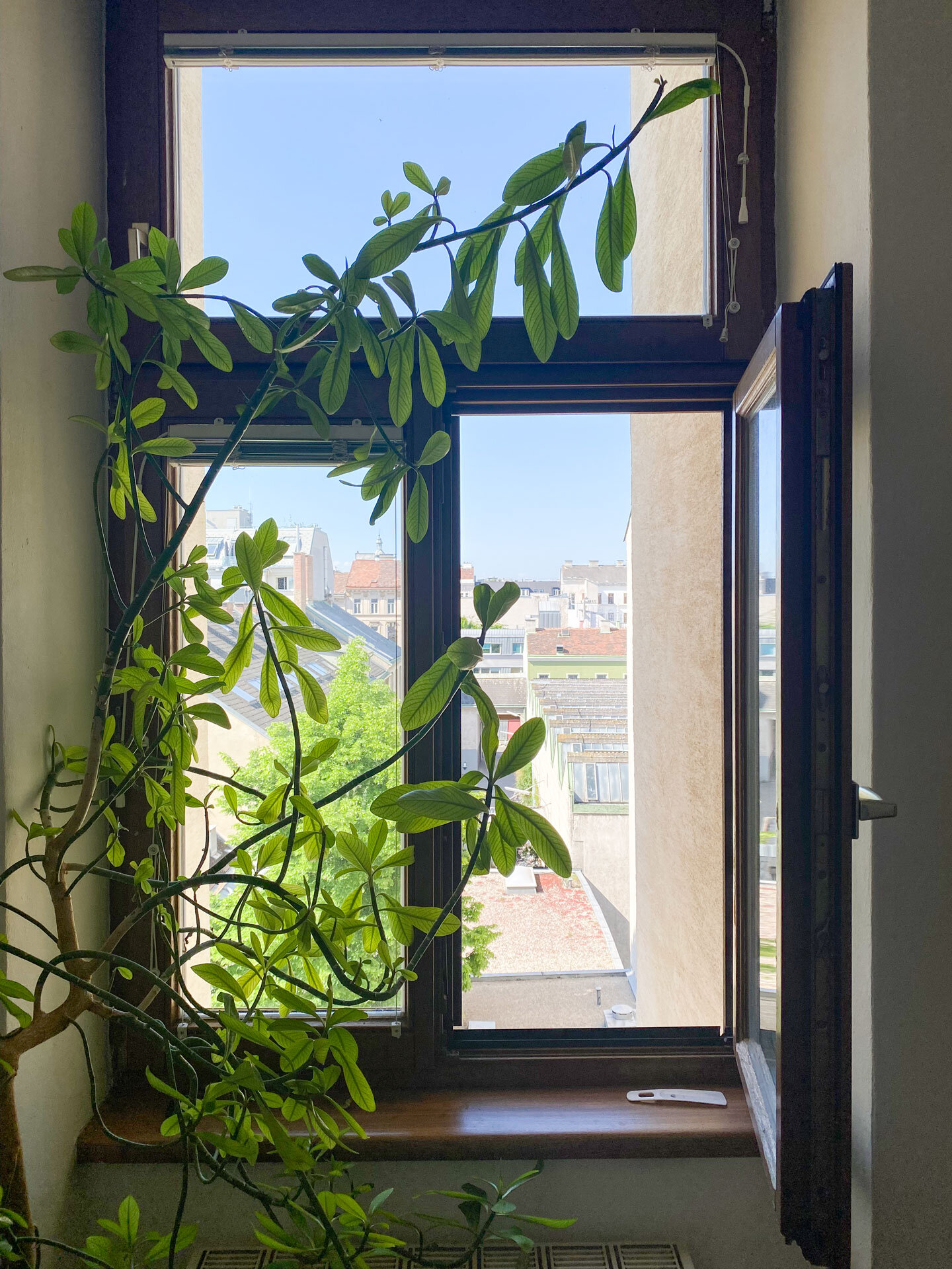 Sunny entrance area with view | © A.S.