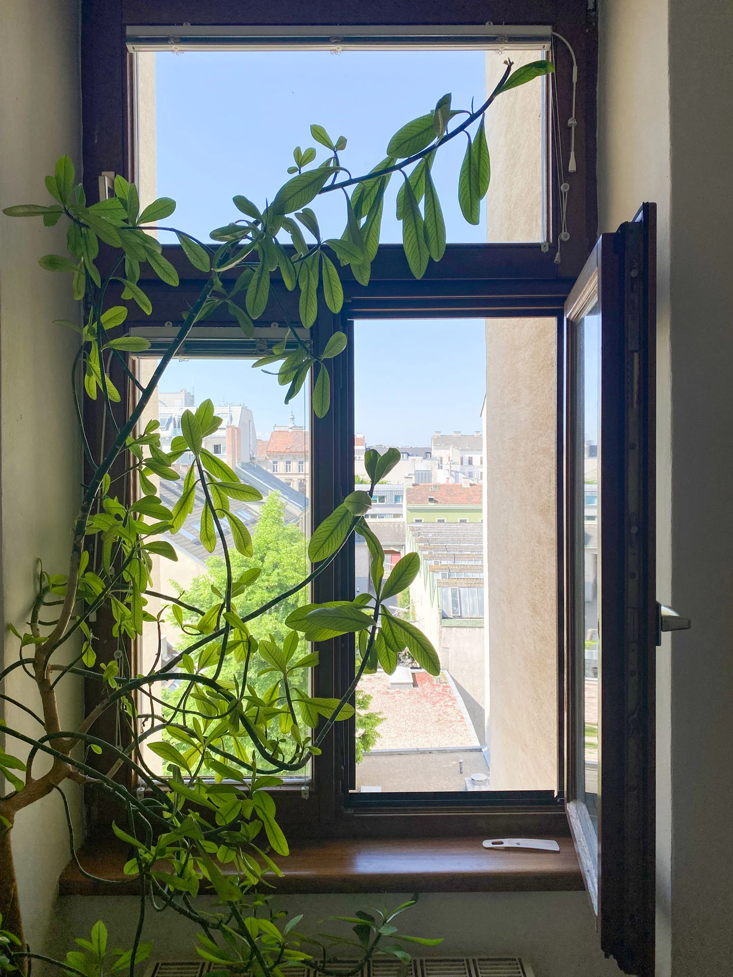 Sonniger Eingangsbereich mit Ausblick | © A.S.