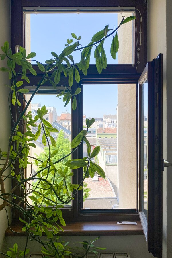 Sunny entrance area with view | © A.S.