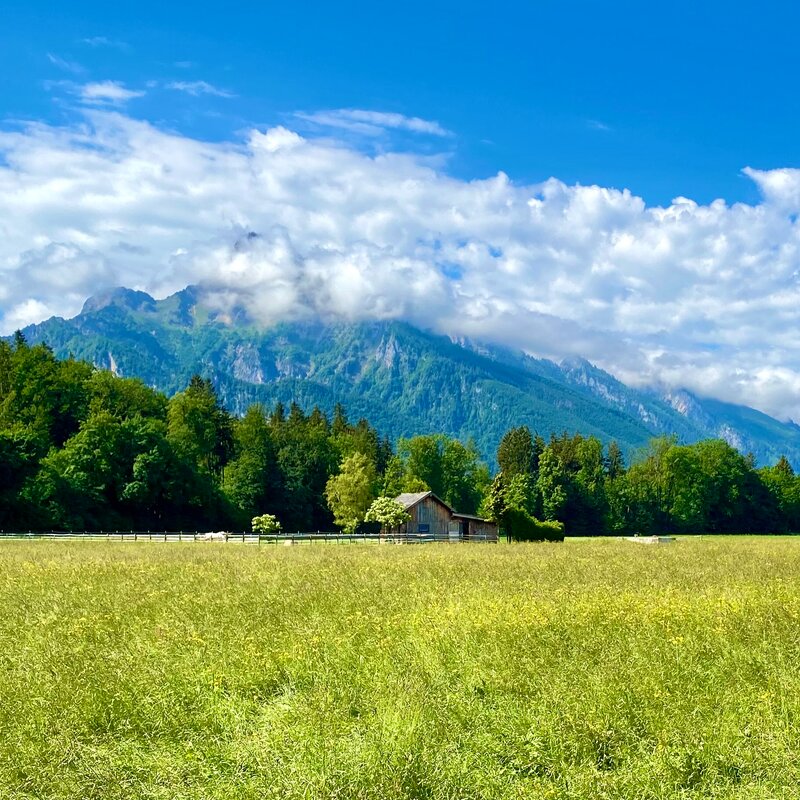 Mountain view from the garden | © H. Weißenberger