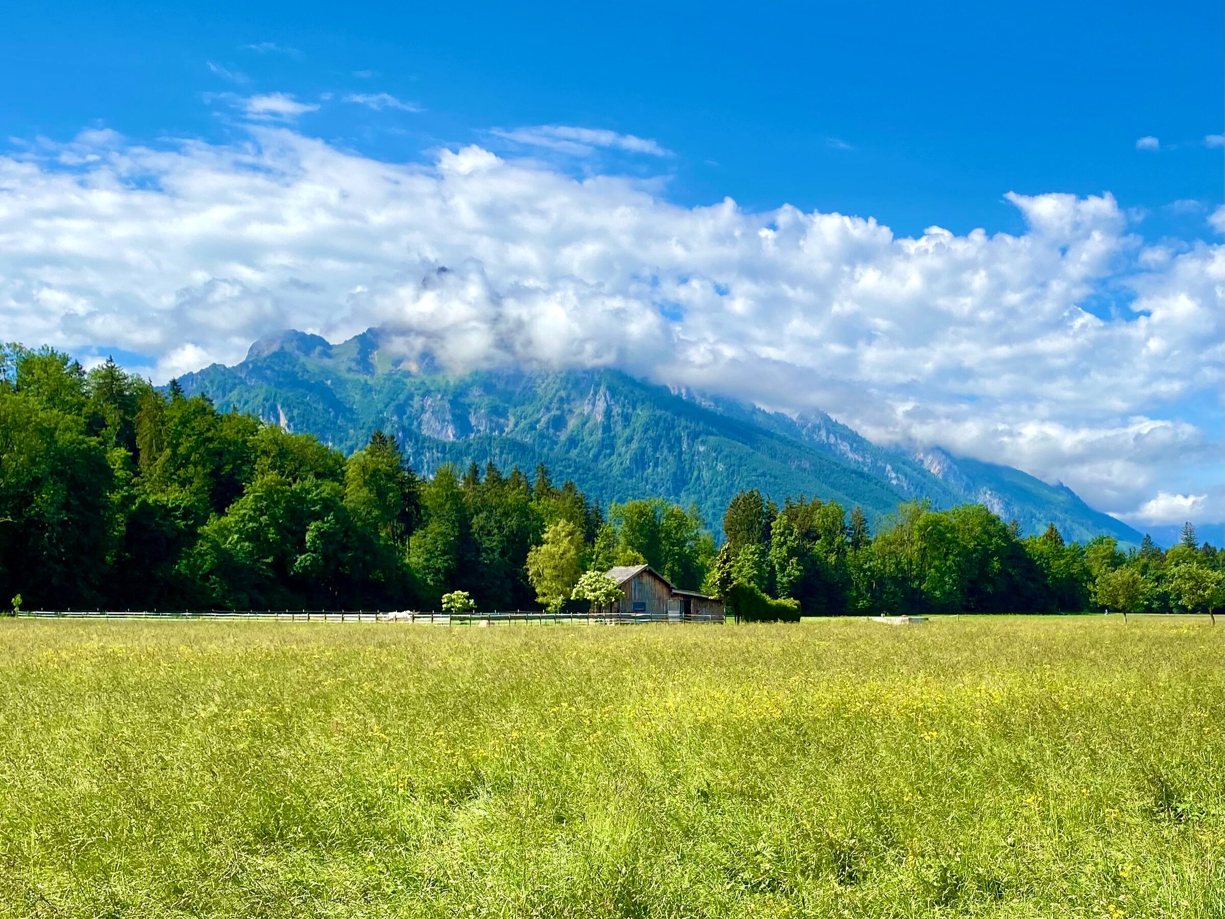 Mountain view from the garden | © H. Weißenberger