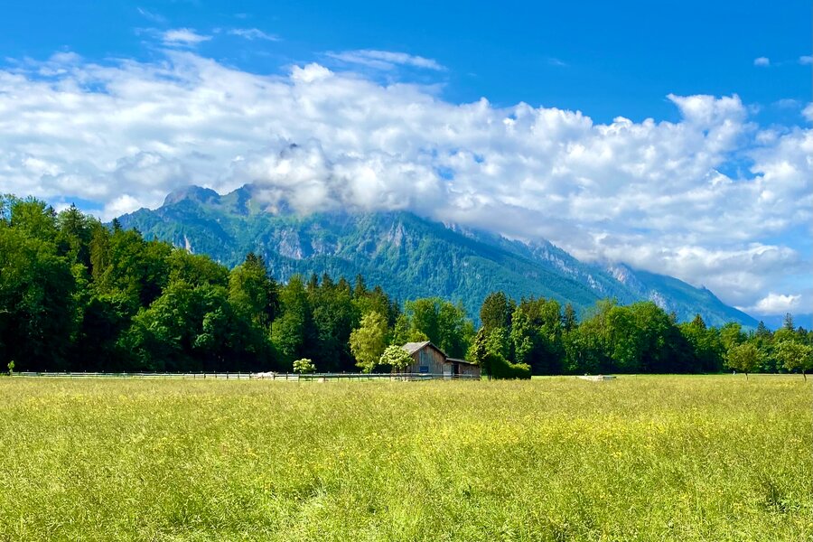 Mountain view from the garden | © H. Weißenberger