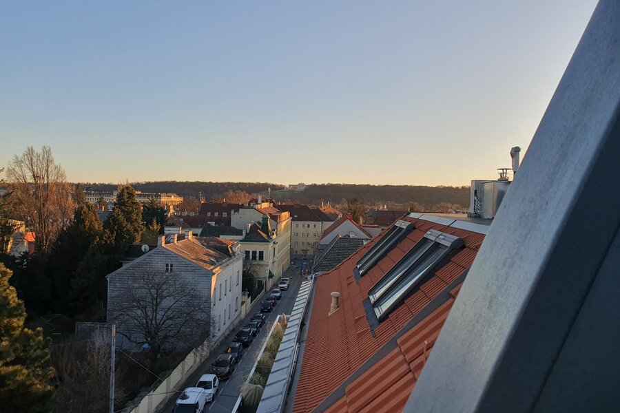 view to Schönbrunn from Studio