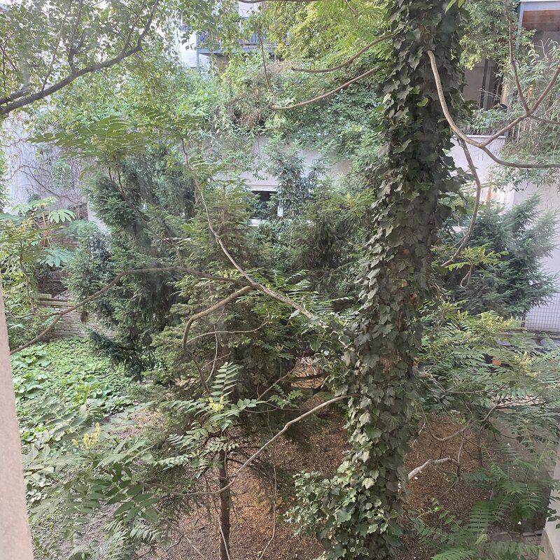 view from the bedroom