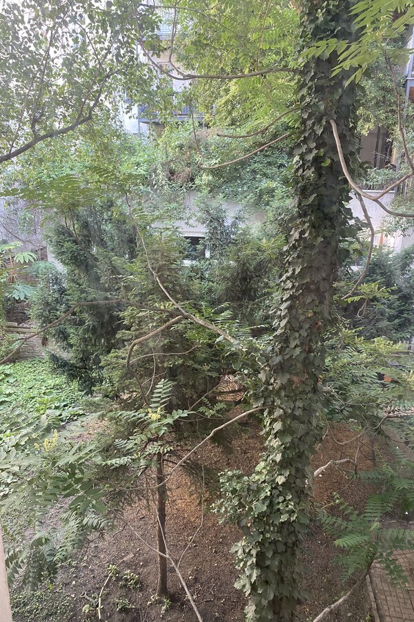 view from the bedroom