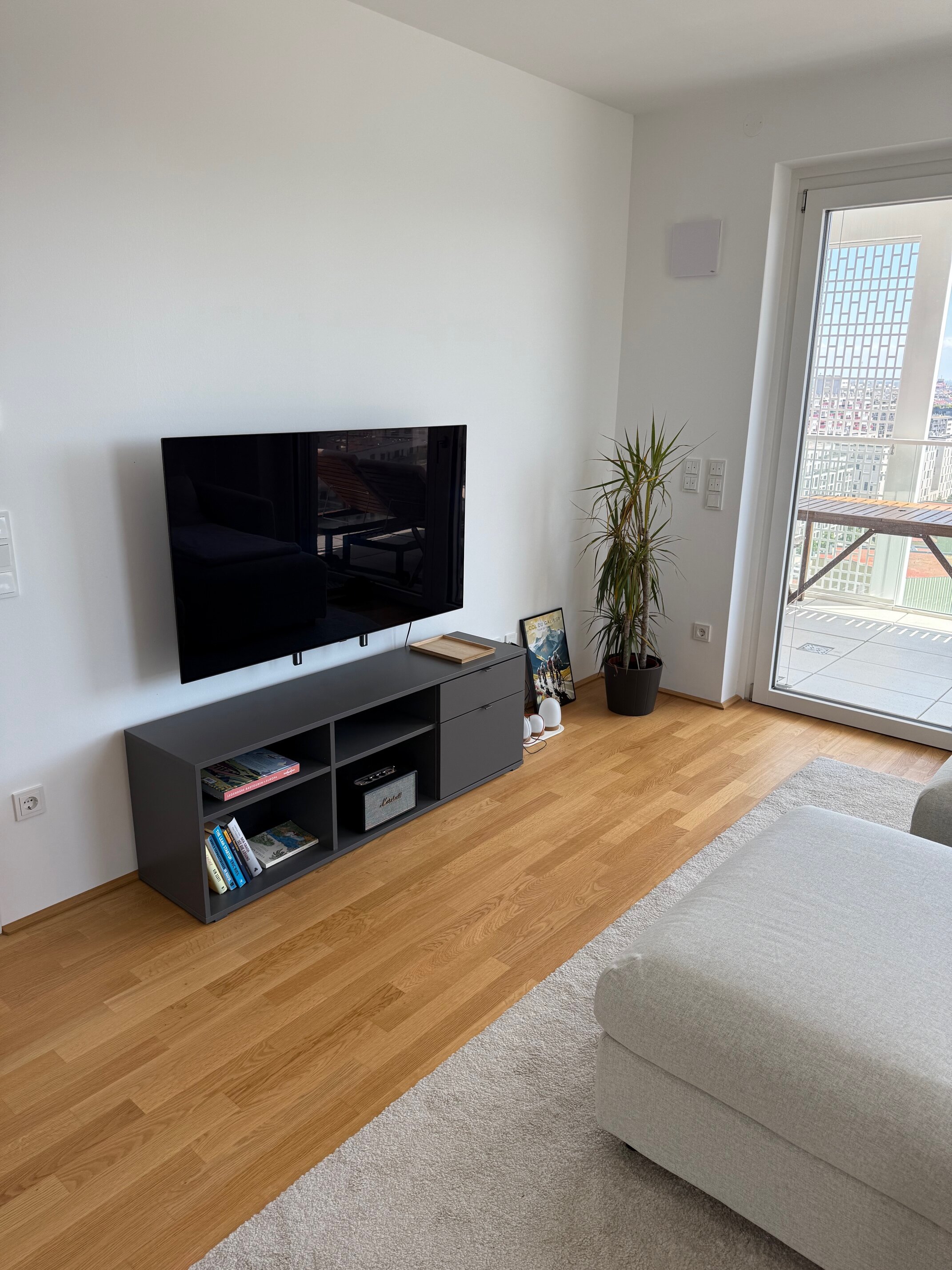 TV
