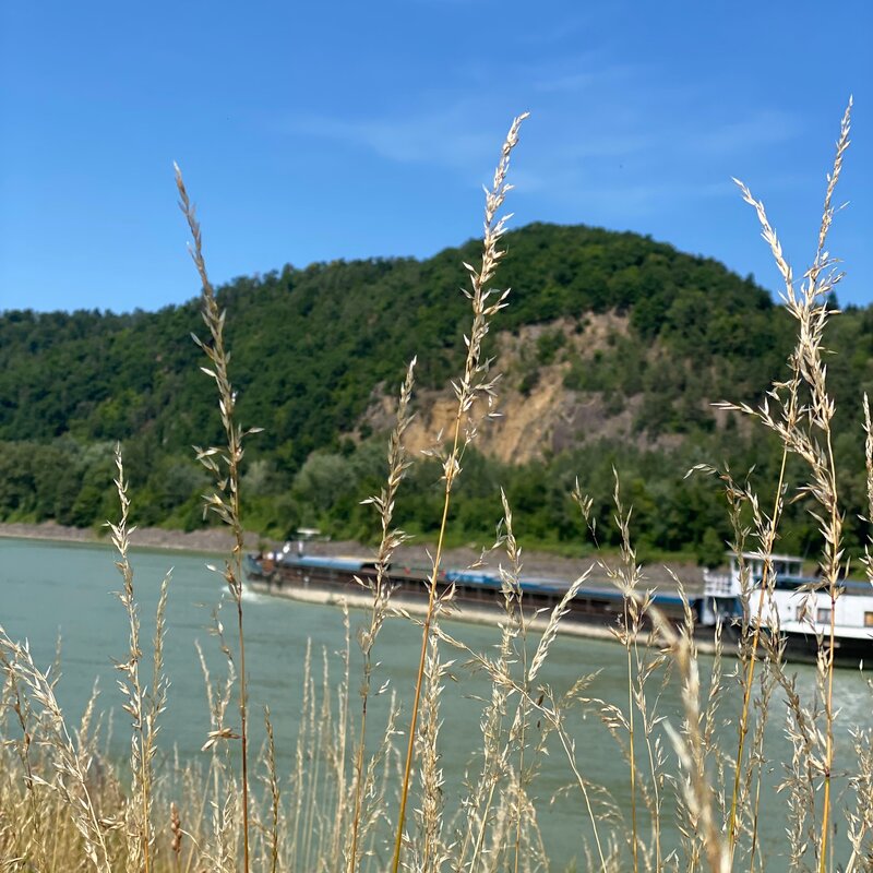 Aschach  | © Birgit Koblinger