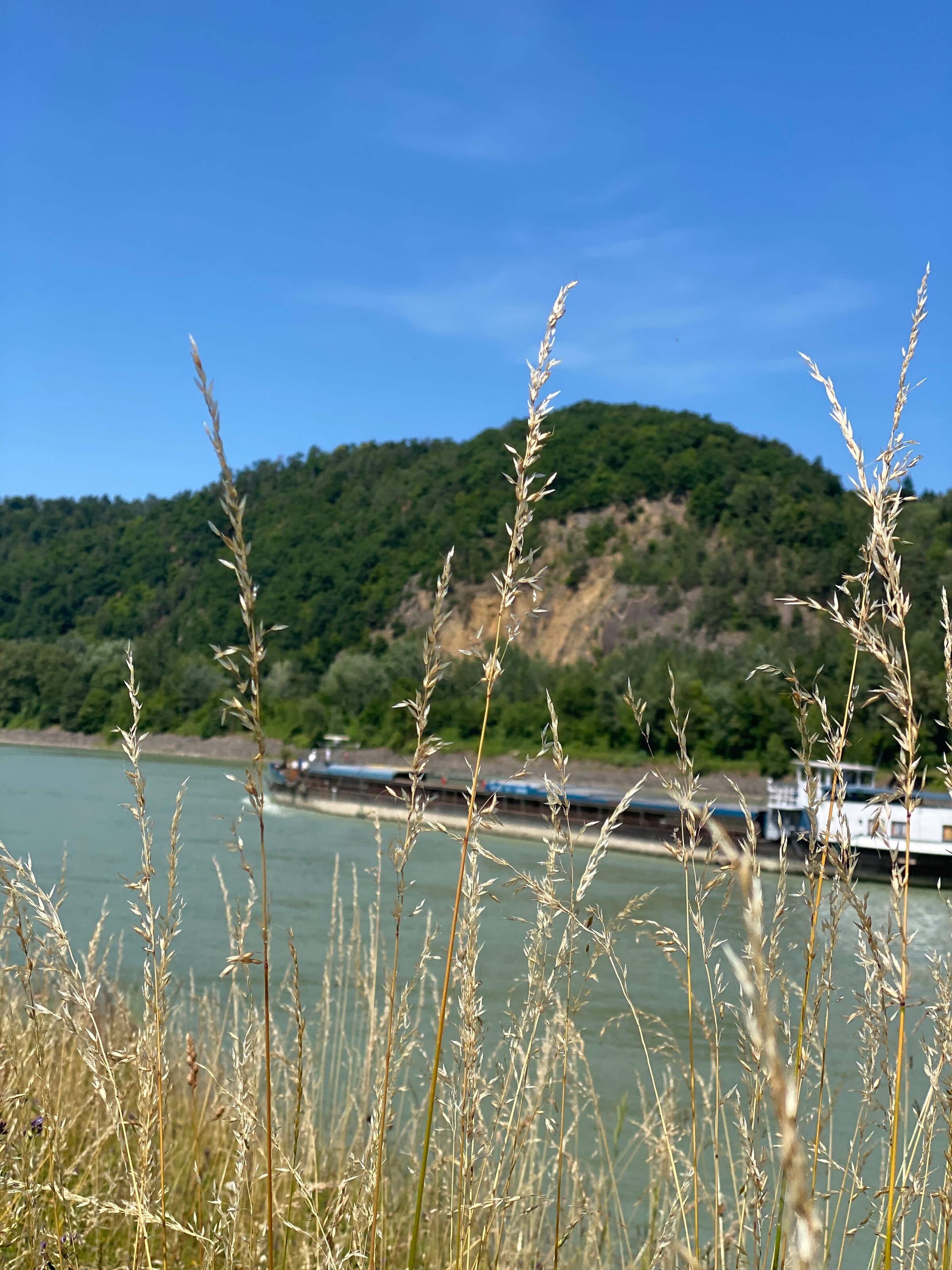 Aschach  | © Birgit Koblinger