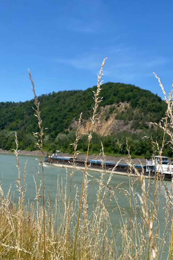 Aschach  | © Birgit Koblinger