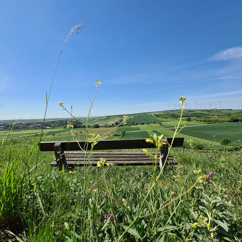 Rolling green hills with open views – 4-room apartment for short-term rental & temporary housing for 1 to 6 months in Neusiedl