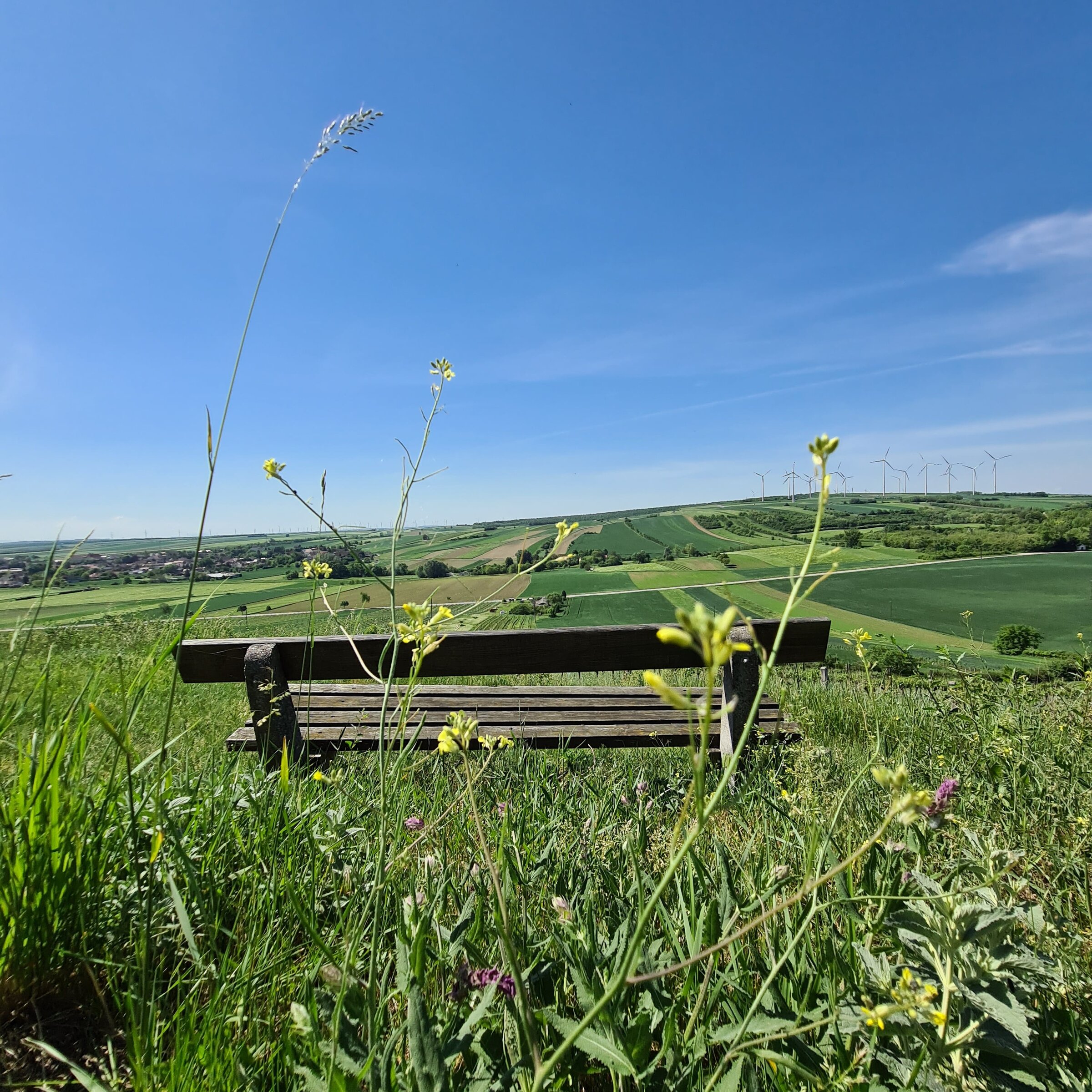 Rolling green hills with open views – 4-room apartment for short-term rental & temporary housing for 1 to 6 months in Neusiedl