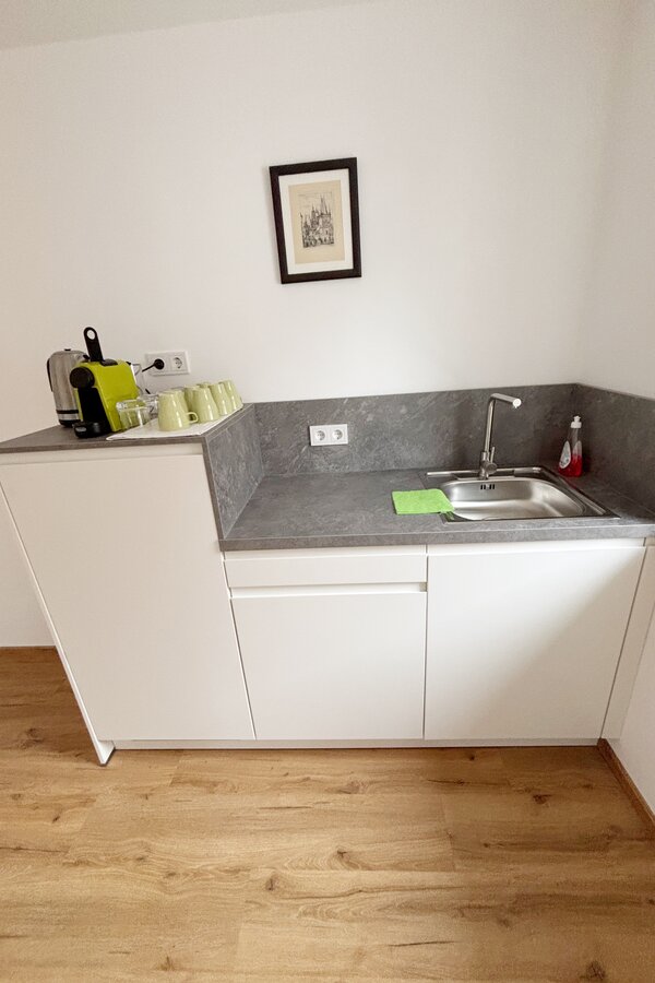 Kitchenette (micro wave and stove not in the picture)