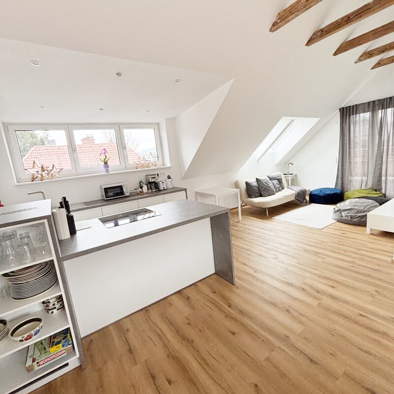 Living room and kitchen