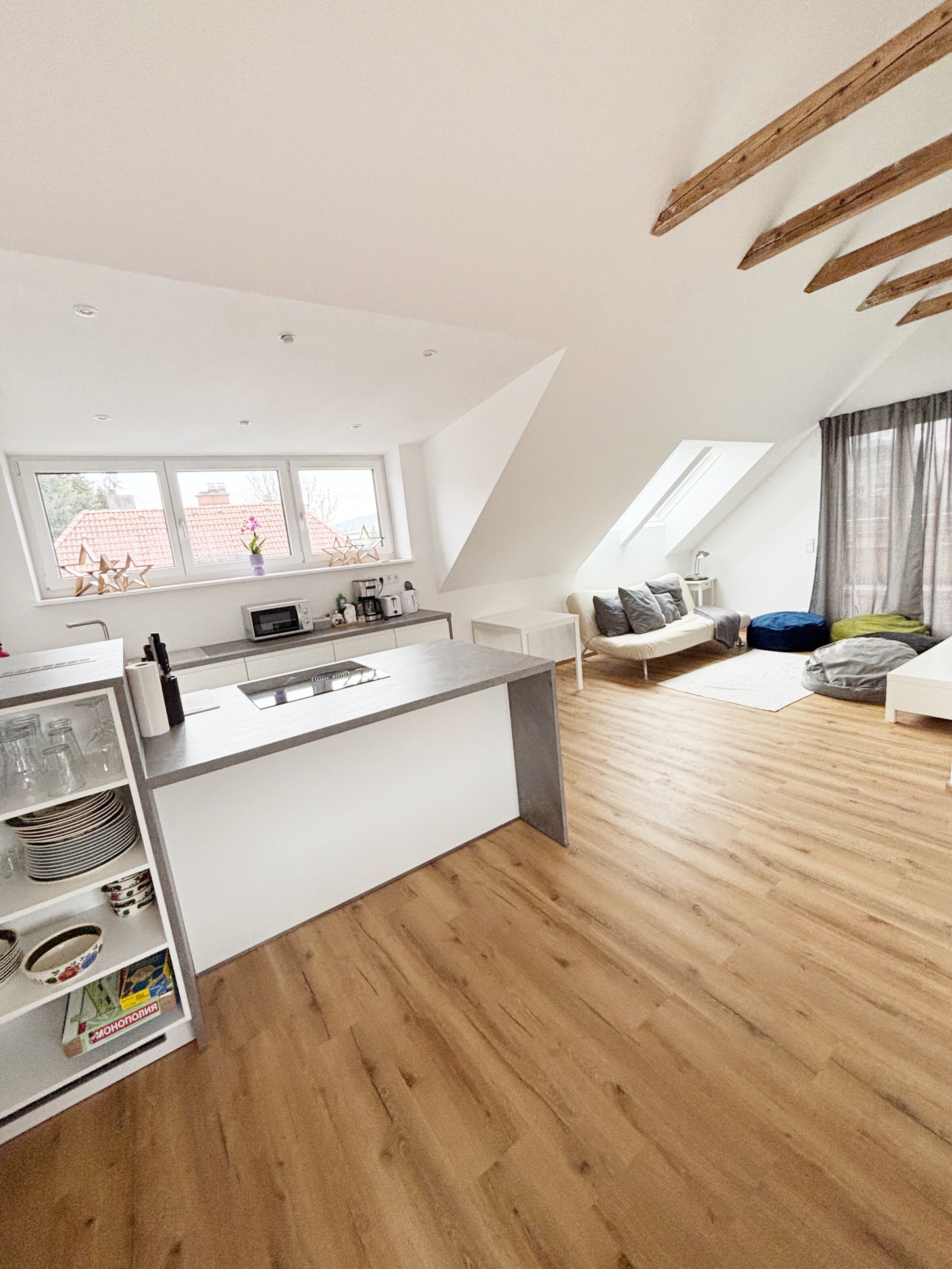 Living room and kitchen