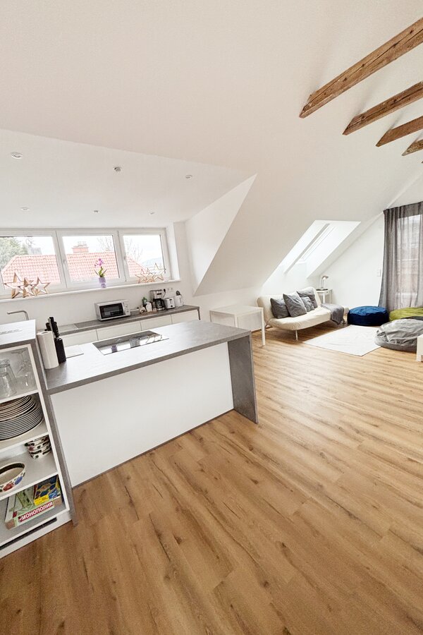 Living room and kitchen