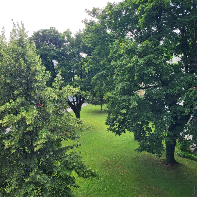 Blick aus dem Küchenfenster | © Inanna Kalthoff