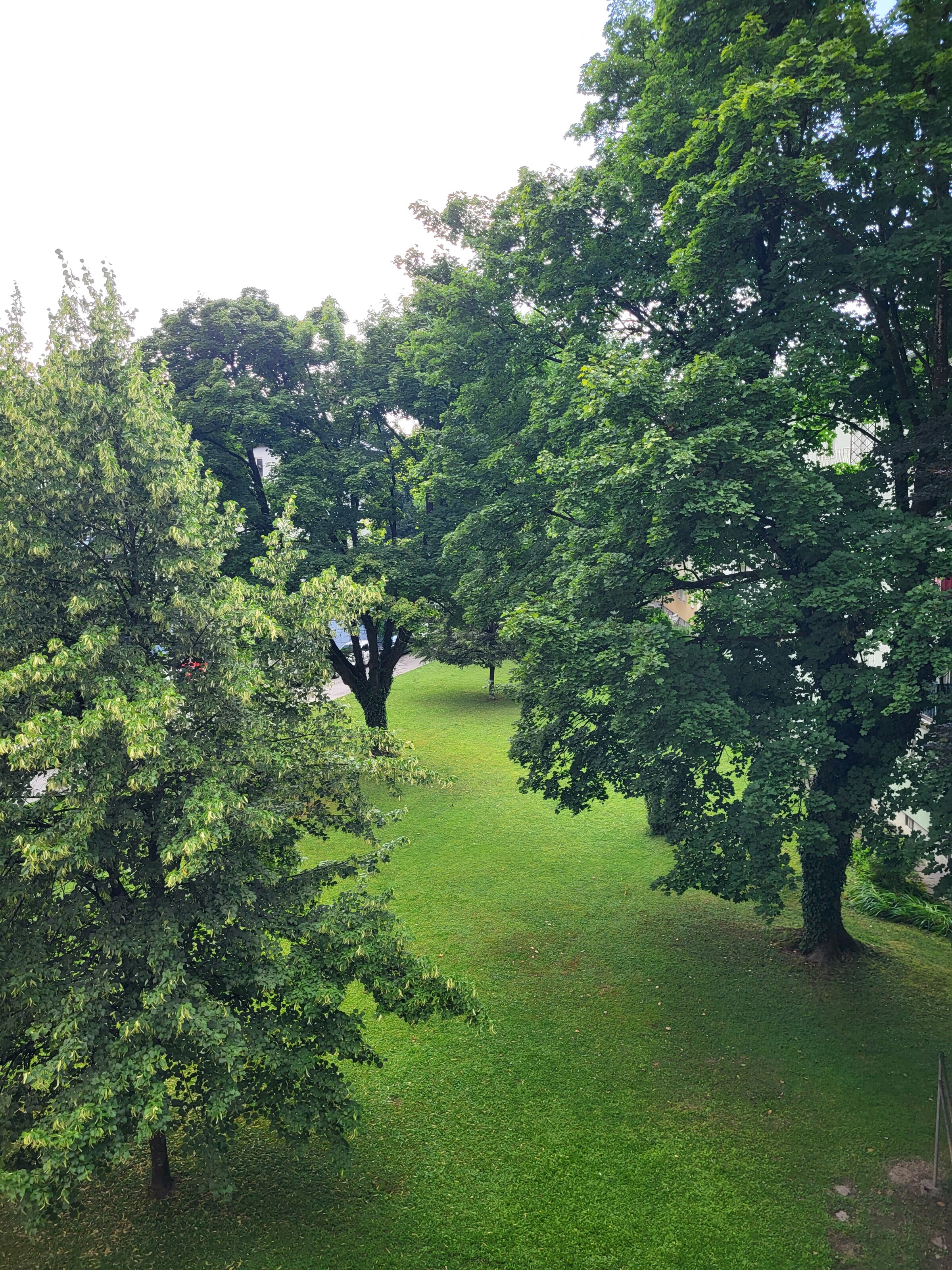 Blick aus dem Küchenfenster | © Inanna Kalthoff