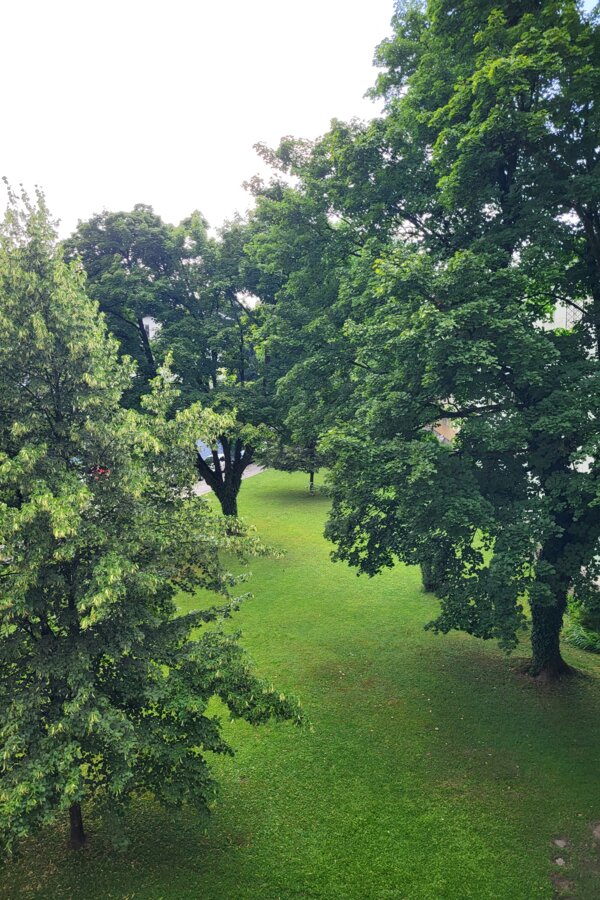 Blick aus dem Küchenfenster | © Inanna Kalthoff