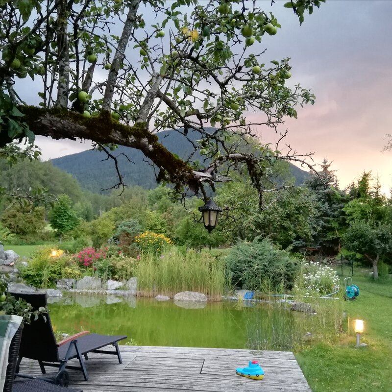 Idyllischer Gartenteich mit Bergblick – Landhaus Kurzzeitmiete Obsteig, Wohnen auf Zeit für 1 bis 6 Monate