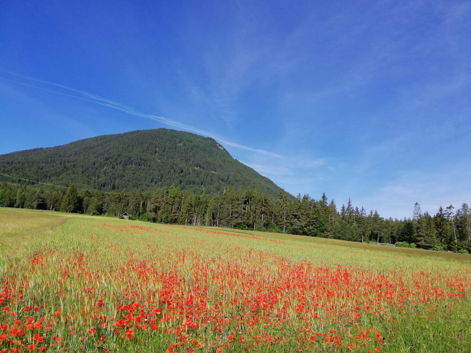 Umgebung