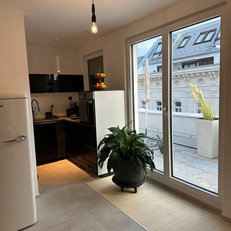 Diese Pflanze filtert die Raumluft 