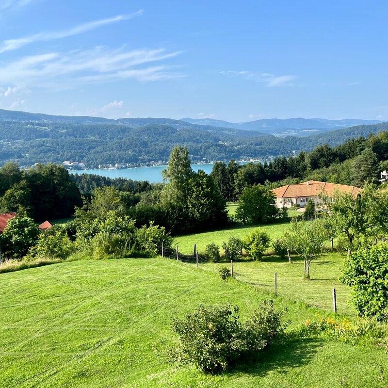 Aussicht vom Balkon 