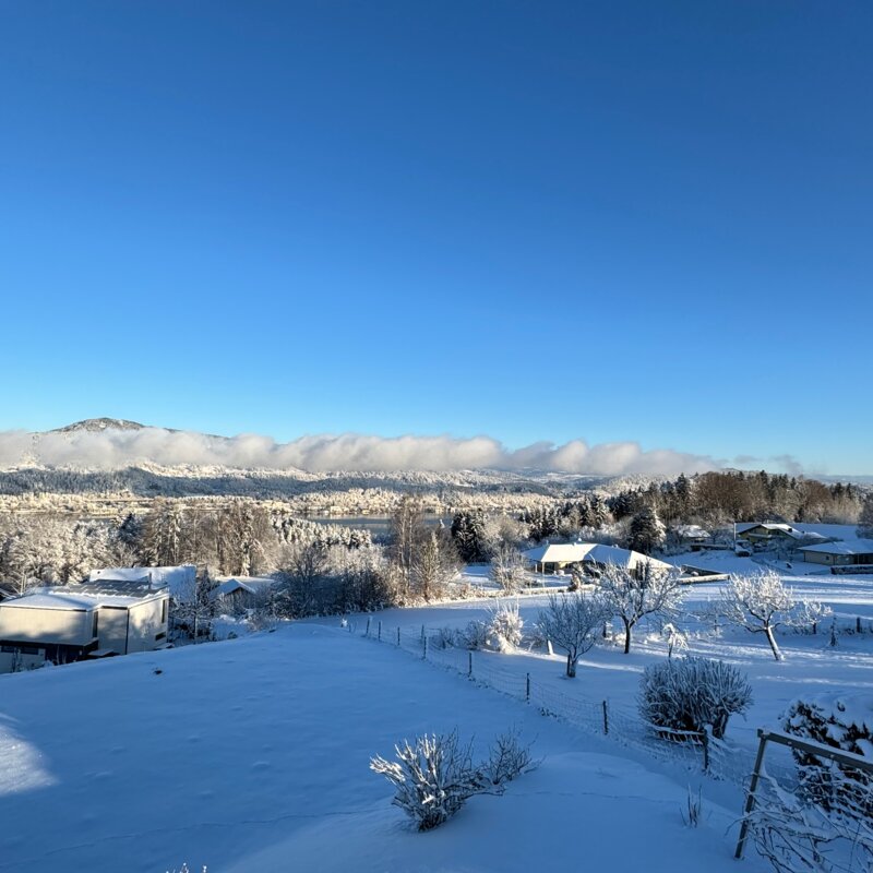 Winter view with snow