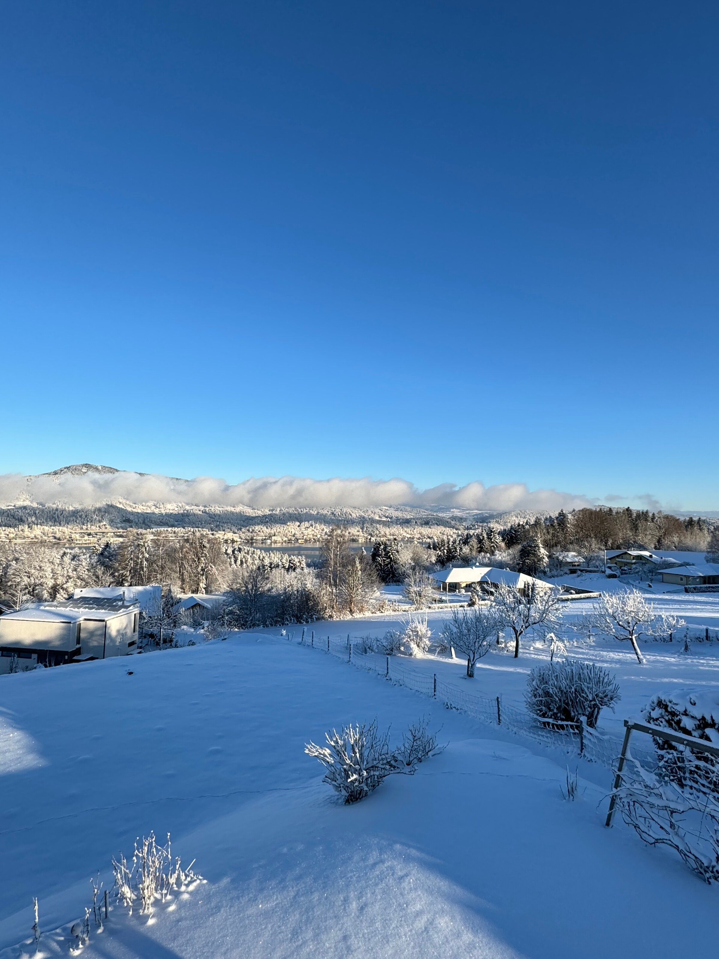 Winter view with snow