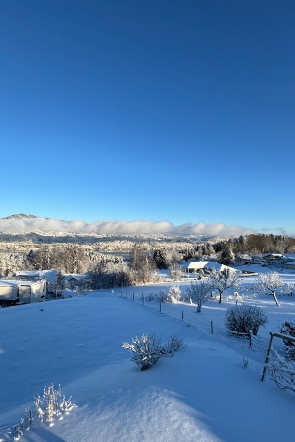 Winter view with snow