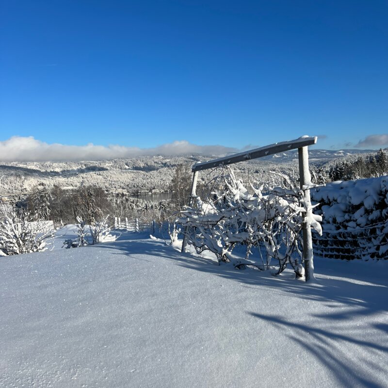 Winter view with snow